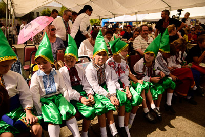 UKRAINEFEST in Saint Volodymyr Parish