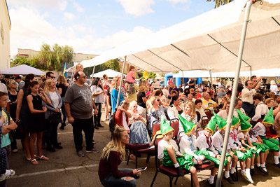 UKRAINEFEST in Saint Volodymyr Parish