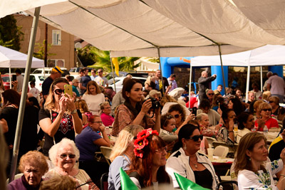 UKRAINEFEST in Saint Volodymyr Parish