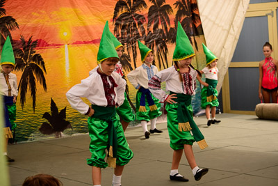 UKRAINEFEST in Saint Volodymyr Parish