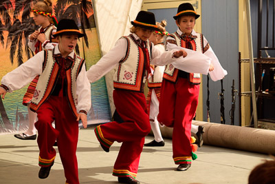 UKRAINEFEST in Saint Volodymyr Parish