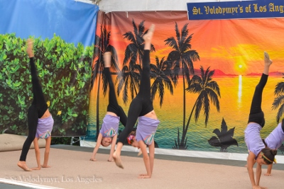 UKRAINEFEST in Saint Volodymyr Parish