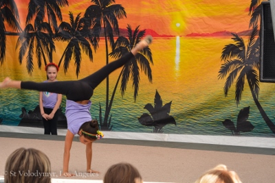 UKRAINEFEST in Saint Volodymyr Parish