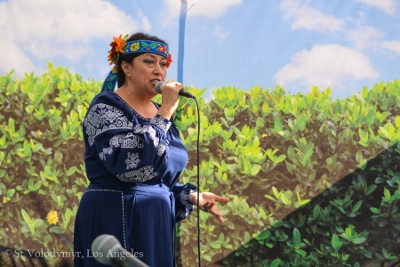 UKRAINEFEST in Saint Volodymyr Parish