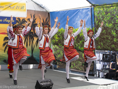 UKRAINEFEST in Saint Volodymyr Parish