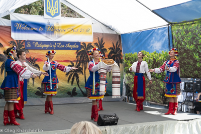 UKRAINEFEST in Saint Volodymyr Parish