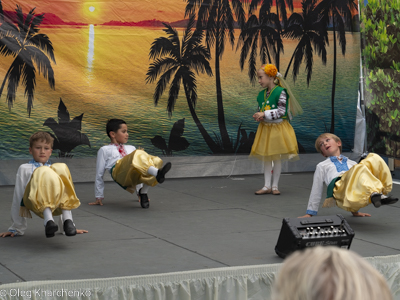 UKRAINEFEST in Saint Volodymyr Parish
