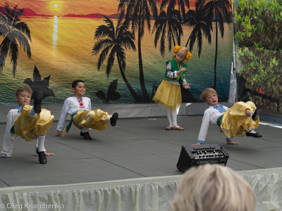 UKRAINEFEST in Saint Volodymyr Parish