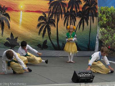 UKRAINEFEST in Saint Volodymyr Parish