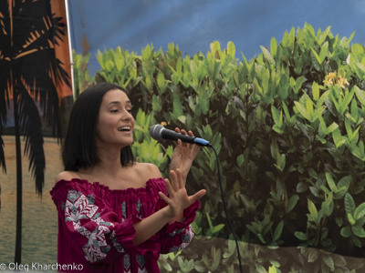 UKRAINEFEST in Saint Volodymyr Parish