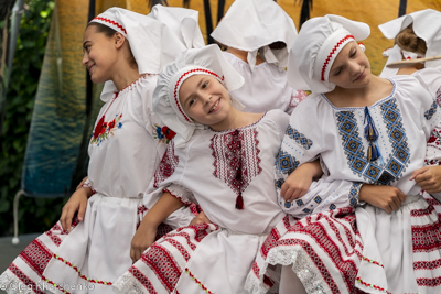 UKRAINEFEST in Saint Volodymyr Parish