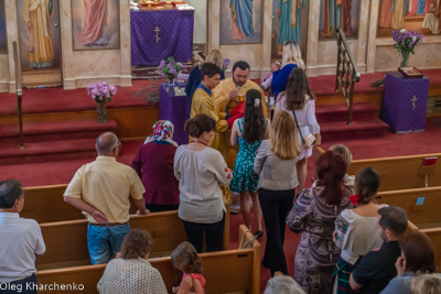 PALM SUNDAY. † THE ENTRY OF THE LORD INTO JERUSALEM.