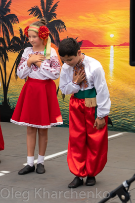 Annual Ukrainian Festival in Los Angeles. 2019