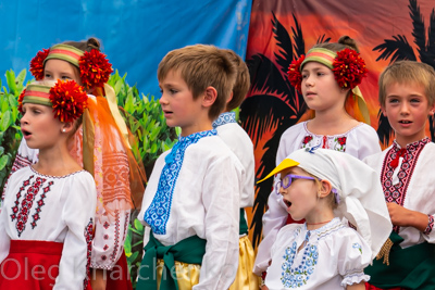 Annual Ukrainian Festival in Los Angeles. 2019