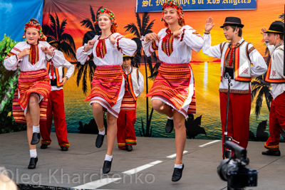 Annual Ukrainian Festival in Los Angeles. 2019