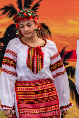 Annual Ukrainian Festival in Los Angeles. 2019