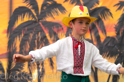 Annual Ukrainian Festival in Los Angeles. 2019