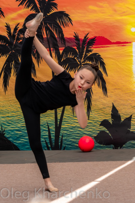 Annual Ukrainian Festival in Los Angeles. 2019