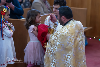 Blessed Theophany - the Holy feast of Baptism of our Lord