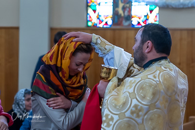 Blessed Theophany - the Holy feast of Baptism of our Lord