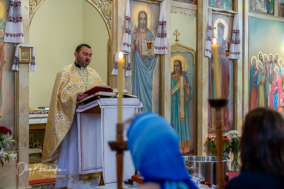 Blessed Theophany - the Holy feast of Baptism of our Lord