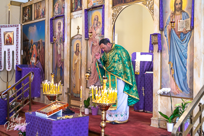 PALM SUNDAY. † THE ENTRY OF THE LORD INTO JERUSALEM.