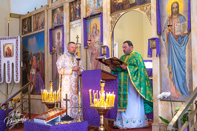 PALM SUNDAY. † THE ENTRY OF THE LORD INTO JERUSALEM.