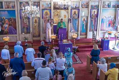 ВЕРБНА НЕДІЛЯ. † ВХІД ГОСПОДНІЙ В ЄРУСАЛИМ.