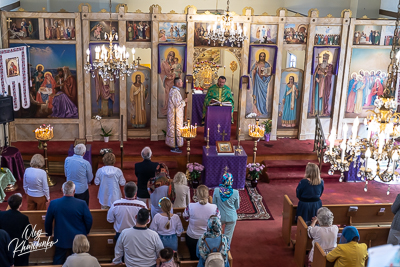 ВЕРБНА НЕДІЛЯ. † ВХІД ГОСПОДНІЙ В ЄРУСАЛИМ.