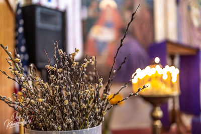 PALM SUNDAY. † THE ENTRY OF THE LORD INTO JERUSALEM.