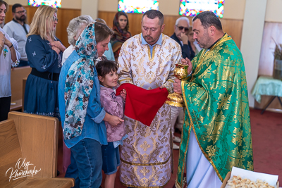 ВЕРБНА НЕДІЛЯ. † ВХІД ГОСПОДНІЙ В ЄРУСАЛИМ.