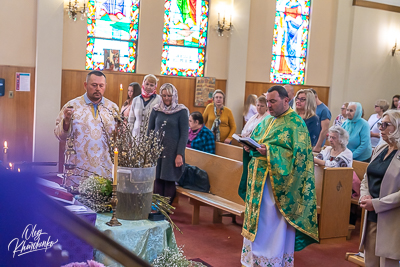 PALM SUNDAY. † THE ENTRY OF THE LORD INTO JERUSALEM.