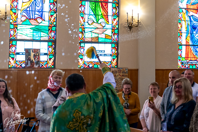 PALM SUNDAY. † THE ENTRY OF THE LORD INTO JERUSALEM.