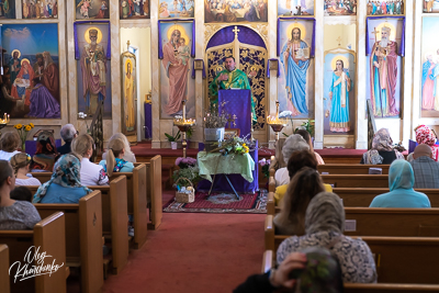 ВЕРБНА НЕДІЛЯ. † ВХІД ГОСПОДНІЙ В ЄРУСАЛИМ.