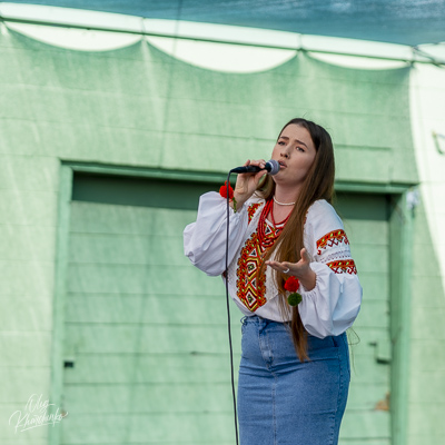 Annual Ukrainian Festival in Los Angeles. 2023