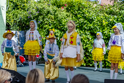 Annual Ukrainian Festival in Los Angeles. 2023