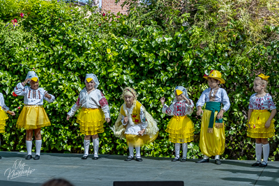 Annual Ukrainian Festival in Los Angeles. 2023