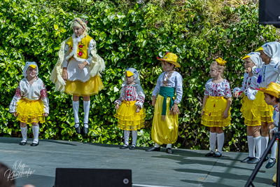 Annual Ukrainian Festival in Los Angeles. 2023