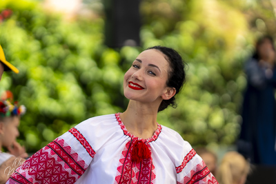 Annual Ukrainian Festival in Los Angeles. 2023