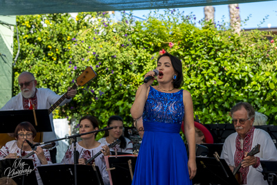 Annual Ukrainian Festival in Los Angeles. 2023