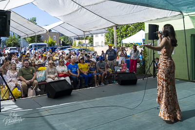 Annual Ukrainian Festival in Los Angeles. 2023