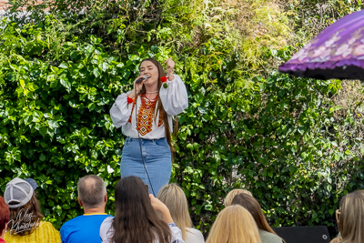 Annual Ukrainian Festival in Los Angeles. 2023