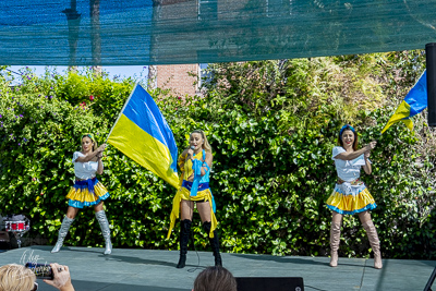 Annual Ukrainian Festival in Los Angeles. 2023