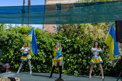 Annual Ukrainian Festival in Los Angeles. 2023