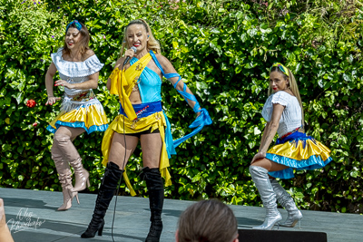 Annual Ukrainian Festival in Los Angeles. 2023