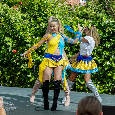 Annual Ukrainian Festival in Los Angeles. 2023