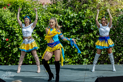 Annual Ukrainian Festival in Los Angeles. 2023