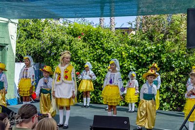 Annual Ukrainian Festival in Los Angeles. 2023