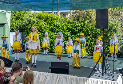 Annual Ukrainian Festival in Los Angeles. 2023