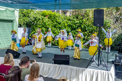 Annual Ukrainian Festival in Los Angeles. 2023